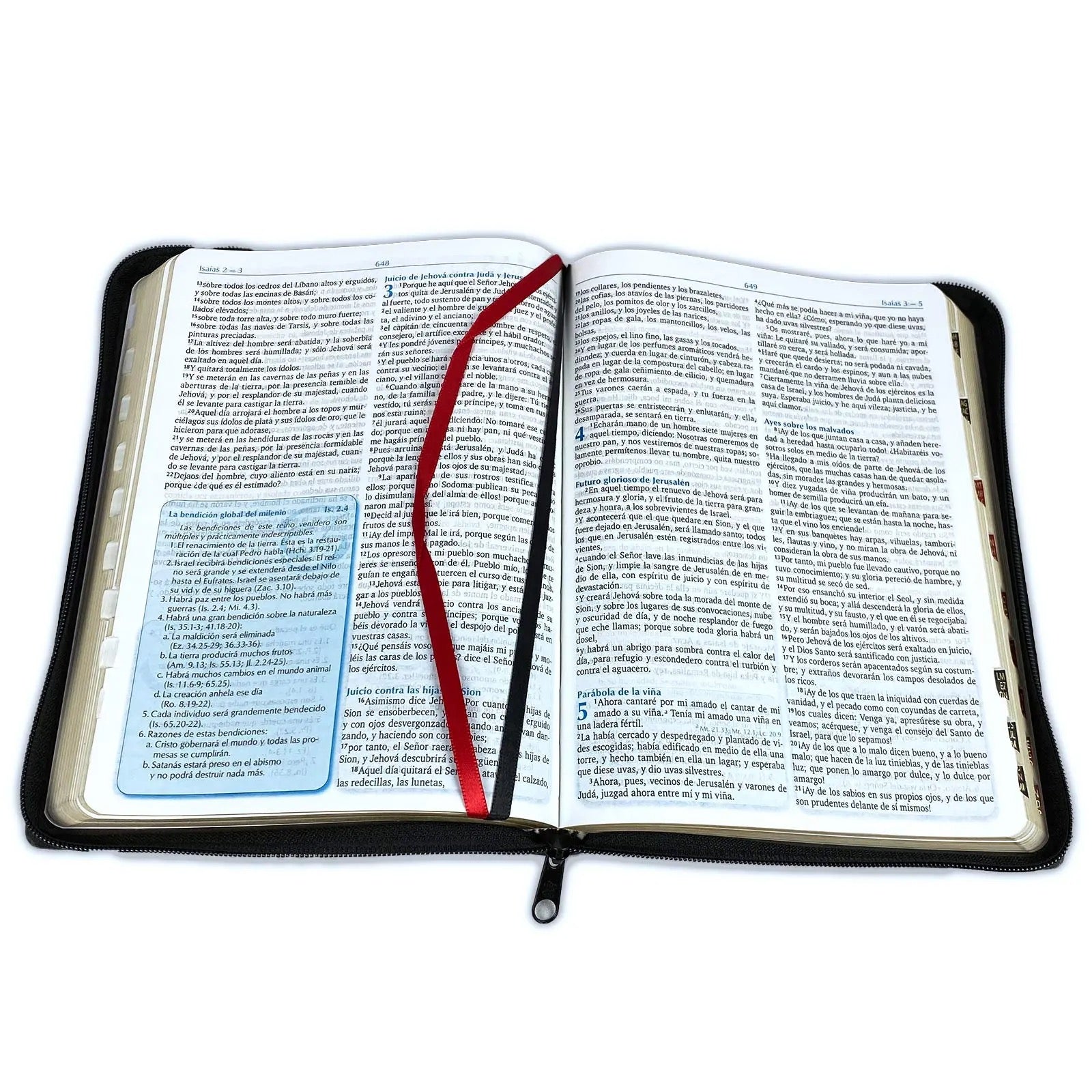 Biblia RVR 1960 Predicación Negro con Cierre e Índice